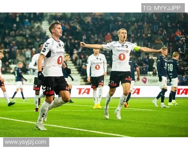 奥德与维京对决深度分析探讨两者的历史背景与文化影响