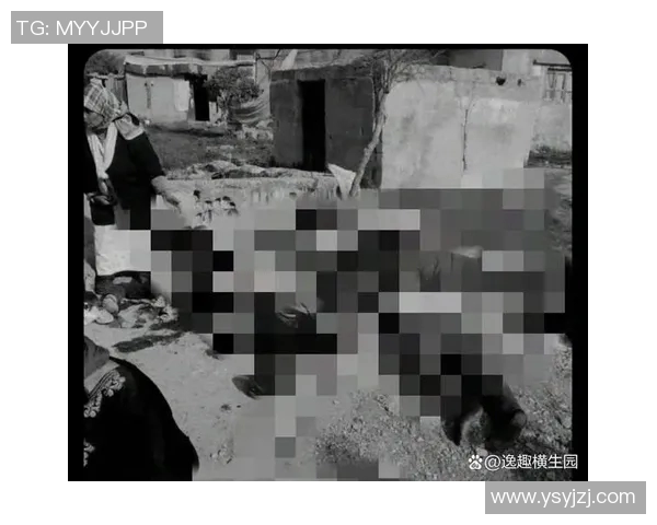 洛斯查兰特与哥本哈根的激烈对决谁将赢得这场精彩较量